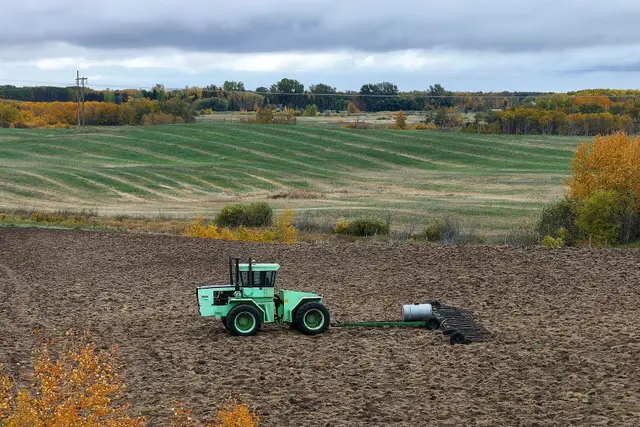 Steiger tractor working a tilled field in autumn